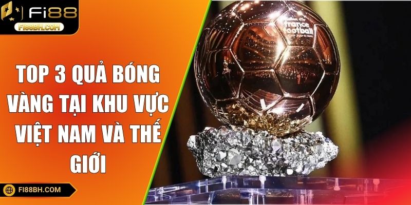 Top 3 quả bóng vàng tại khu vực Việt Nam và thế giới